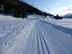Langlauf Engadin St. Moritz – Langlauf Languard – Pontresina