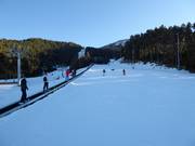 Übungshang in Masella