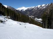 Waldabfahrt Mauterndorf (Talabfahrt)