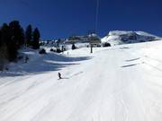 Auch Steilhänge werden perfekt hergerichtet.