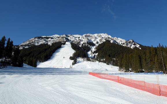 Skifahren in der Sawback Range