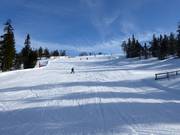 Ravinbacken in Hundfjället