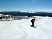 Das 186 m lange, überdachte Förderband