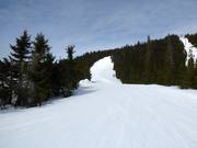 Schwere Piste Skogshenget