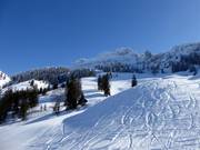 Blick zur Kampenwand