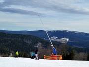 Schneilanze am Arber