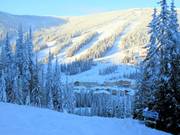 Blick auf das Sun Peaks Village