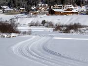 Höhenloipe in Sulden