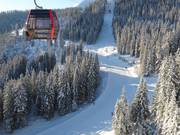 Leichte Talabfahrt ideal für Anfänger