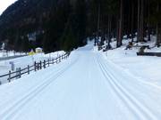 Panoramaloipe nach Eben