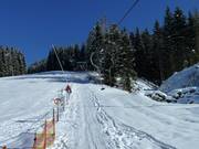 Bergschlepplift - Tellerlift