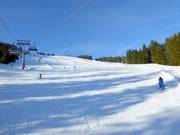 A - Böhmerwaldstrecke