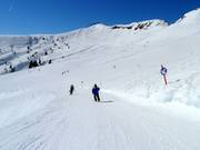 Breite Pisten unterhalb des Pengelsteins in der Kasereckmulde