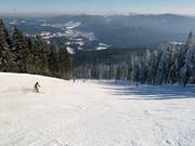 Schwarze Osthangstrecke