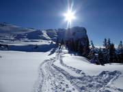 Tipp für die Kleinen  - Winterwanderung Triassic Park