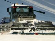 Bei Bedarf wird nochmal kurz präpariert