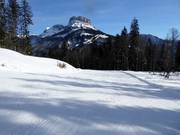 Leichte Abfahrt Rehkogel