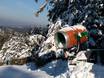 Schneesicherheit Schwarzwald – Schneesicherheit Mehliskopf
