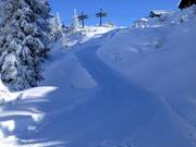 Rodelbahn vom Bergrestaurant Sonnenkopf zur Mittelstation der Sonnenkopfbahn