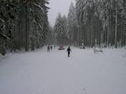 Waldabfahrt am Wurmberg