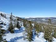 Freeride-/ Tiefschneegebiete in Stöten
