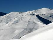 Pisten am Piz Cartas