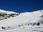 Leichte Pfnatschpiste