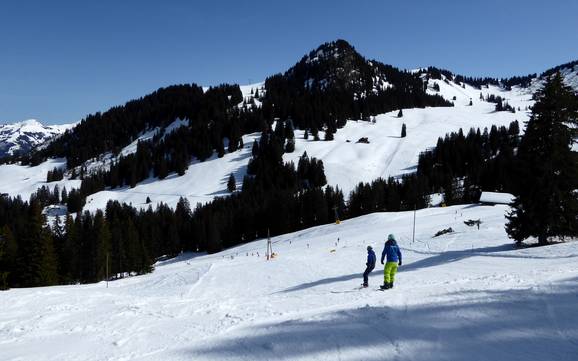 Skifahren im Saanetal