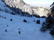 Die schwarze Weltcupabfahrt