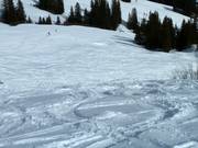 Spuren im Tiefschnee