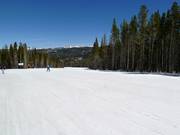 Leichte Pisten vom Peak 10 zum Peak 9