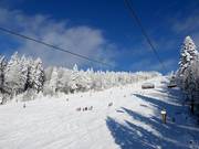 Die längste Piste im Skigebiet an der Großen Almberg-Sesselbahn