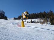 Schneekanone im Skigebiet Ladurns