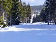 Mittelschwere "Abkürzung"