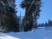 Vlek-I Slalomák  - Tellerlift