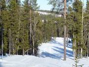 Loipen im Hellner Stadion