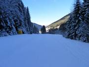 Piste Nr. 24 Talabfahrt nach Welschnofen