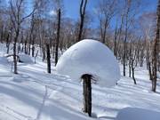Es gibt immer genügend Schnee im Skigebiet Rusutsu