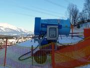 Schneekanone in Rinn