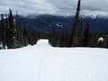 Pisten Revelstoke Mountain Resort