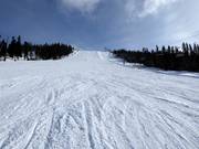 Schwere Piste Stora backen in Tandådalen