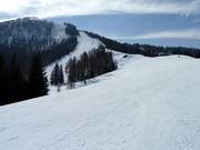 Blick auf den Klammerstich