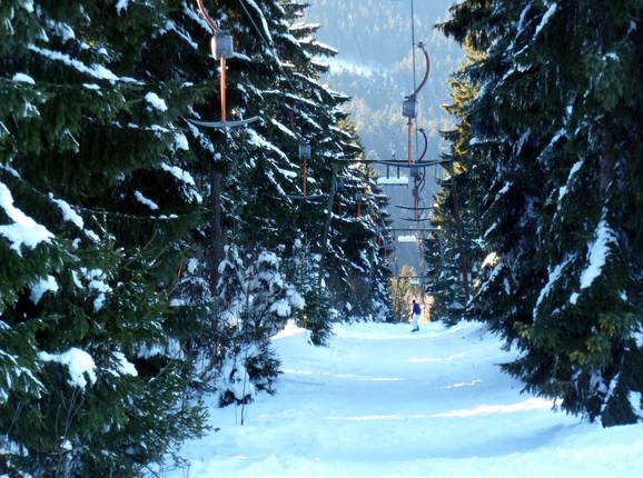 Predigtstuhl II - Herzerllift