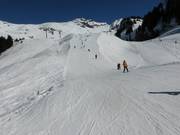 Leichte Abfahrt am Schlepplift Spycher