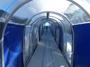 Bunny Express 2 - Förderband/Zauberteppich mit Überdachung