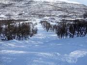 Schwere Piste Maggans Fall Nr. 16