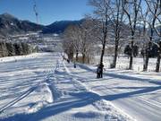 Jaudenhanglift 2 - Schlepplift mit T-Bügel/Anker