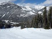 Stringer Terrain Park