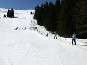 Separat betriebener Seillift A bei Aleko (nicht im normalen Skipass enthalten)