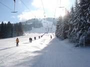Sorgschrofenlift 1 - Schlepplift mit T-Bügel/Anker
